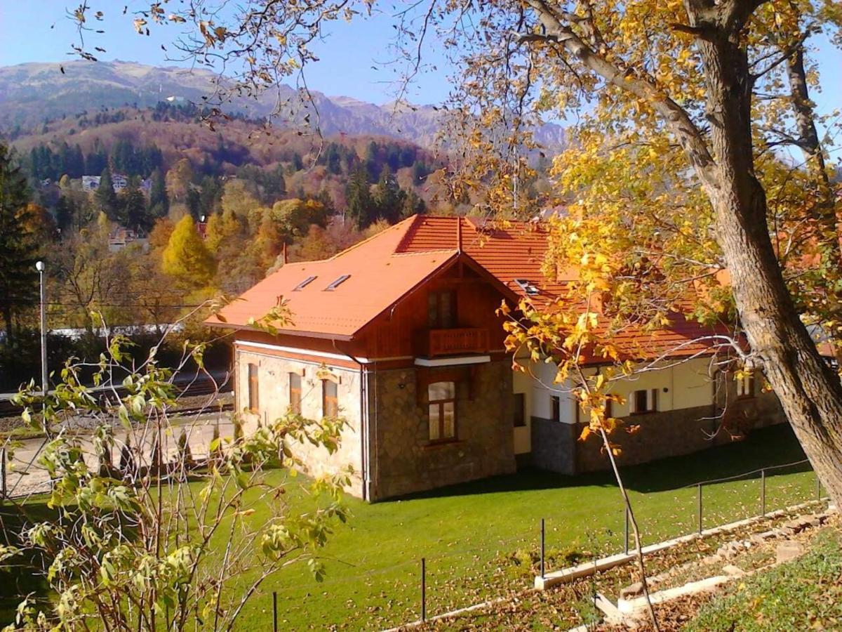 Pensiunea Piscul Cainelui Sinaia Luaran gambar